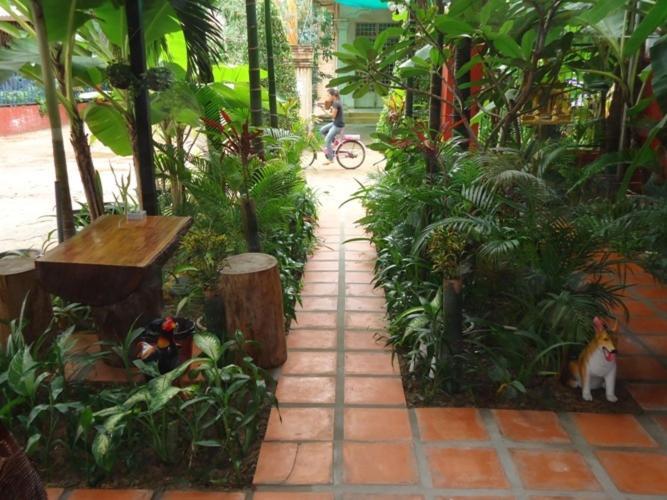 Ladybug Guesthouse Siem Reap Luaran gambar