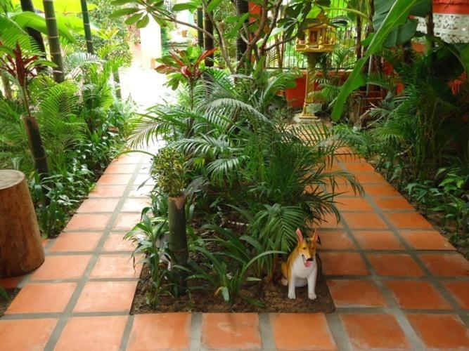 Ladybug Guesthouse Siem Reap Luaran gambar